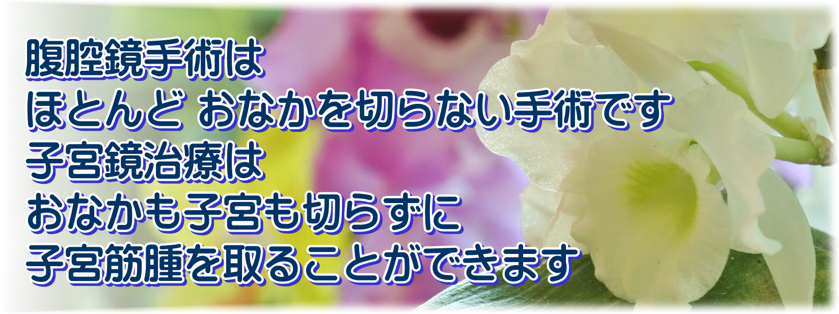 腹腔鏡手術は，ほとんどおなかを切らない手術です。子宮鏡手術はおなかも子宮も切らずに子宮筋腫を取る手術です。